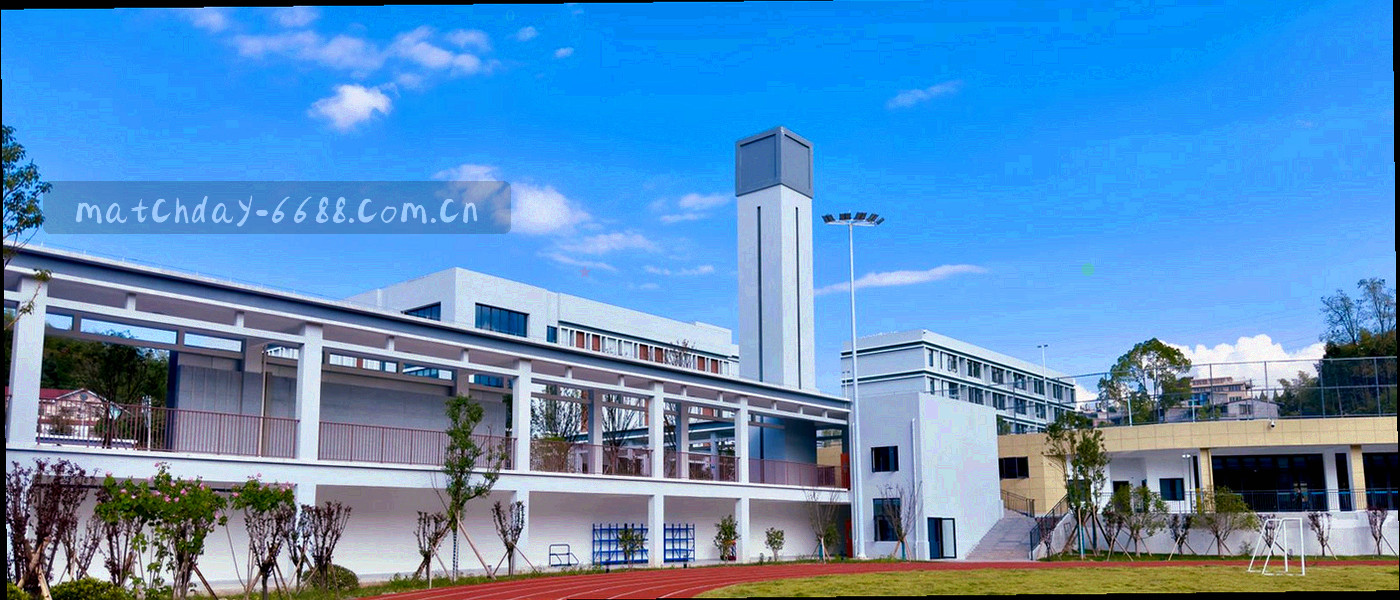 俯视球场中线的抽象构图，草皮刻线与灯光边缘交错